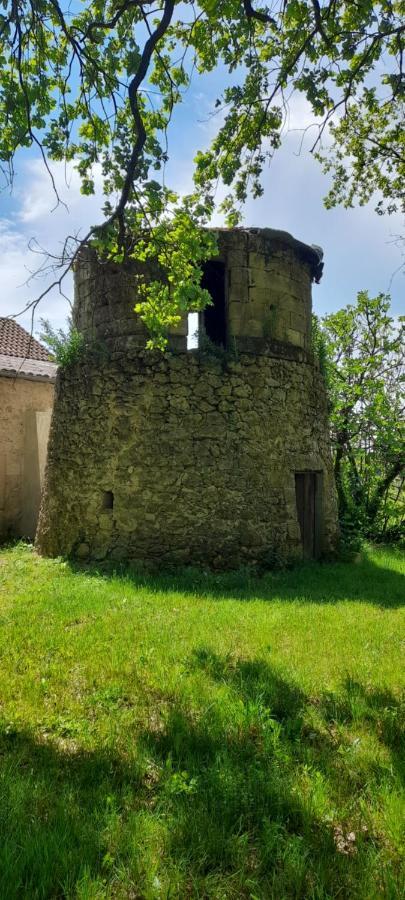 Moulin De Bigorre Villa Saint-Genès-de-Castillon Exterior photo